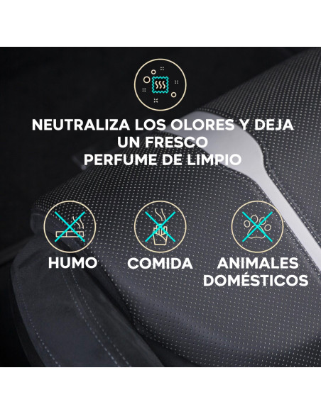 2 PZ Quitamanchas ALADIN Asientos coche 400ml ideal para telas alfombras y cuero