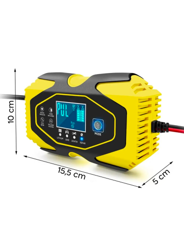 Cargador batería coche y moto baterías de litio...