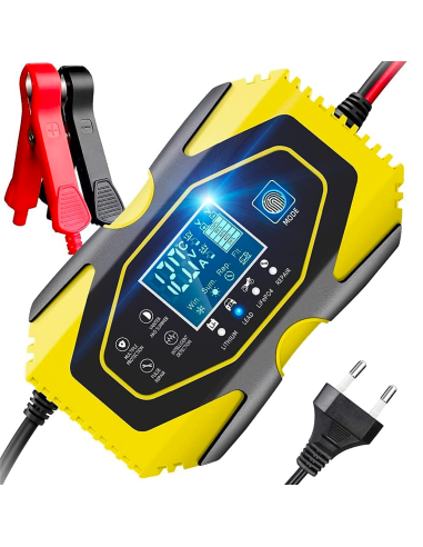 Cargador batería coche y moto baterías de litio...