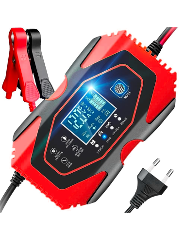 Cargador batería coche y moto baterías de litio...