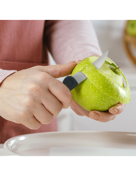 Set 9 Cuchillos de Cocina con Estuche Profesional de Acero Inoxidable Multiusos