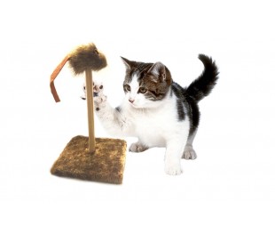 Juguete + Rascador para gatos con ratón (30 x 30 x 35 cm)  2