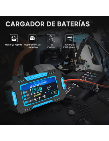 Cargador Batería para Coche y Moto Carga...