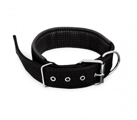  Collar para perros en diferentes colores (67 x 4 cm) mod. PHOENIX – TALLA L