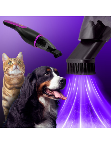 Aspiradora inalámbrica 100W, 2 en 1 para coche/hogar, filtro HEPA.