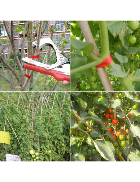 Pinza atadora manual para plantas, engrapadora de jardinería y viñedos.