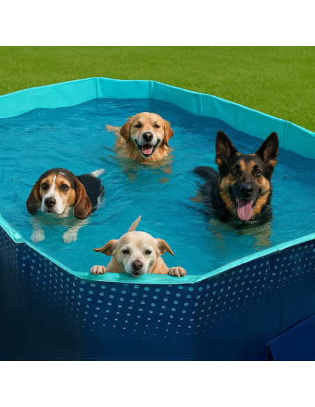 Piscina rígida plegable no inflable de PVC 330l para niños y perros.