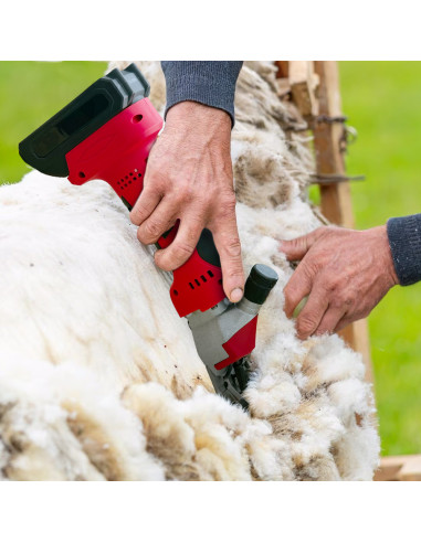 Esquiladora 48V para Ovejas, Doble Batería, Kit...
