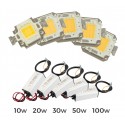 Kit 2 piezas para la sustitución de la PLACA LED + LED DRIVER / Alimentador de focos LED de LUZ CÁLIDA 3000 k 