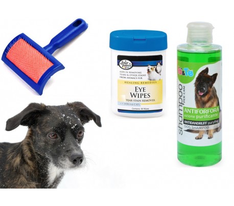 Kit completo de ducha para perro - Champú de (200 ml) IO&TE