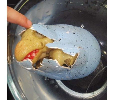 112004 DINO IN EGG - Huevo mágico con dinosaurio