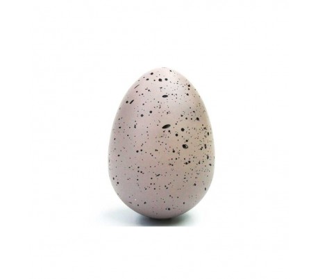 112004 DINO IN EGG - Huevo mágico con dinosaurio