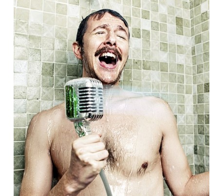 314051 Ducha en forma de microfono 