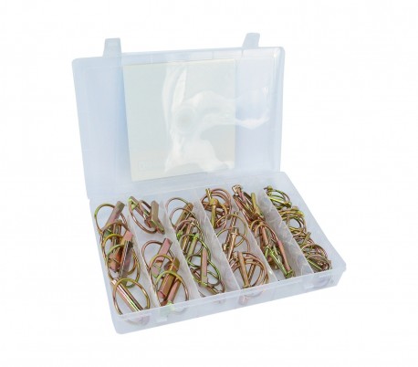 Kit de 50 piezas hendidos pasadores diferentes tamaños